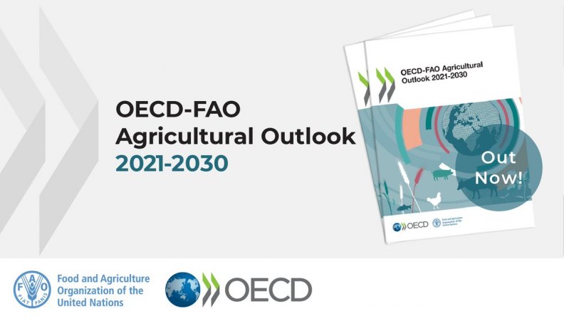 OCDE-FAO Agricultural Outlook 2021-2030 disponível para leitura