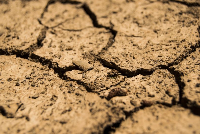 Agricultores afetados pela seca podem contar com o apoio da Agrogarante