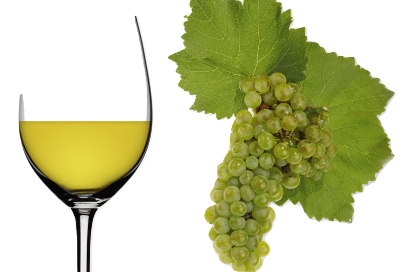 Análise Setorial Subsetor – Vinha e Vinho