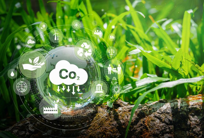 UE aprova sistema de certificação para remoção de carbono. Agricultura de carbono incluída